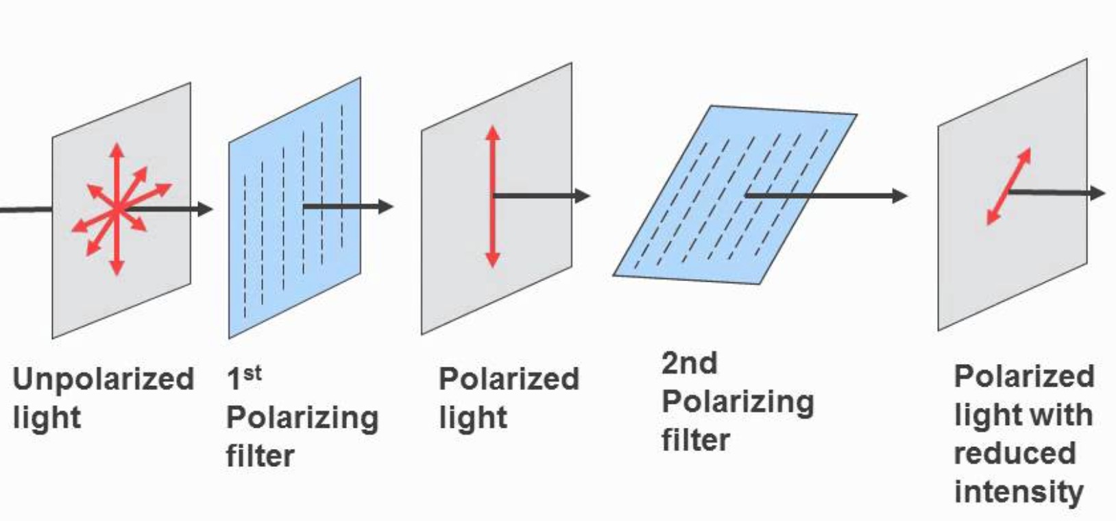 Light rays passing through two polarizers at different angles with respect to each other.
