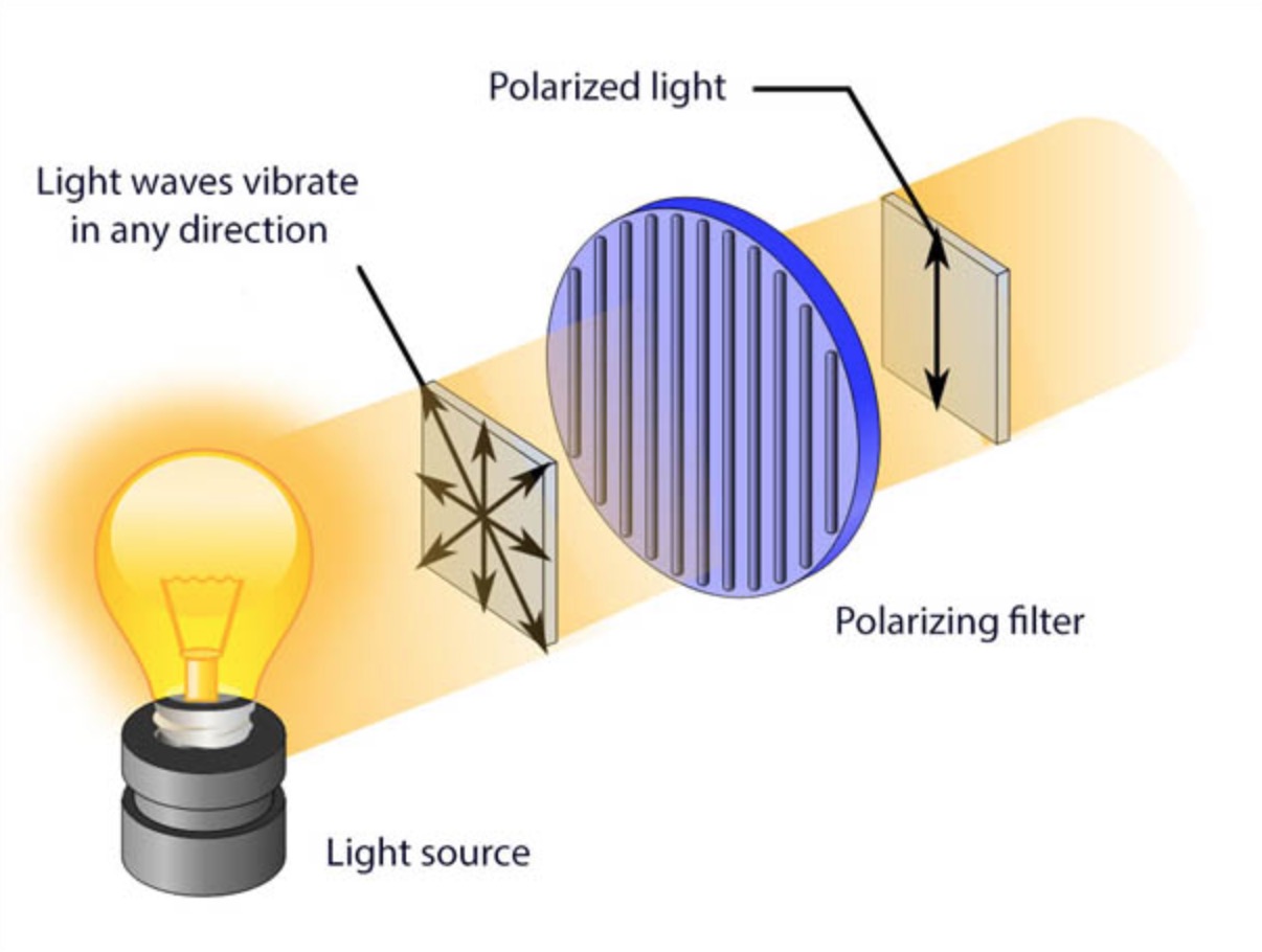 Light rays passing through a vertical polarizer.